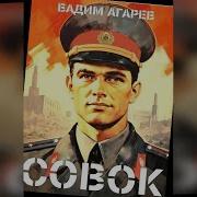 Агарев Совок