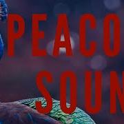 Peacock Sound Effects