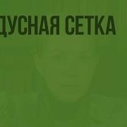 5 Класс География