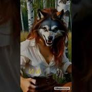 Тик Ток Перевоплощения