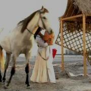 Arturo Y Sofia Hacen El Amor