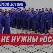 Они Не Нужны Никому Золкин