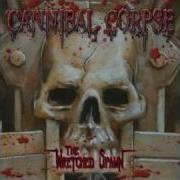 The Wretched Spawn Cannibal Corpse