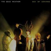 The Dead Weather I M Mad