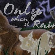 Cats Warriors Nap Only When It Rains