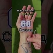 Точик Анигдод