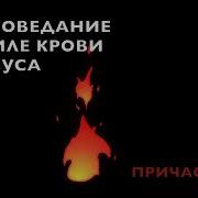 Павел Бороденко Исцеление