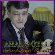 Ahal Gozeli