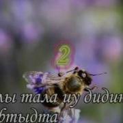 Аз Ирон Чызг Минусовка