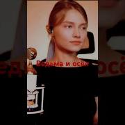 Квашеная Ведьма И Осел