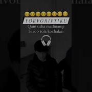 Кани Оша Мадинанинг Савоб Тула Кучалари