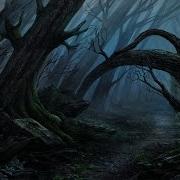 Whispers In The Forest