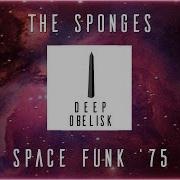 Space Funk Sponges