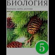 Биология 5 Класс 18 Параграф Водоросли