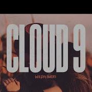 Cloud 9 Widflowers