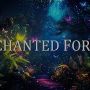 Enchanted Forest Music