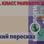 Параграф 23 Класс Ракообразные 7 Класс