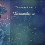 7 Класс Пасечник Суматохин Калинов Моховидные