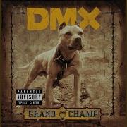 Dmx Rain