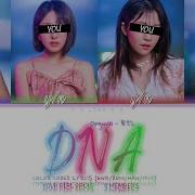 Dna Bts Famel Version