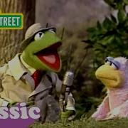 The Bird Song Sesame Street