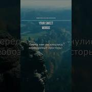 Мечта О Море