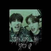 Any Skz Speed Up