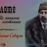 Аудиокнига Мамин Сибиряк Дмитрий В Болоте