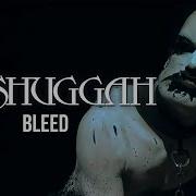 Bleed Meshuggah