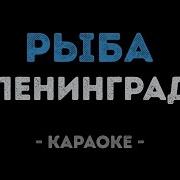 Ленинград Рыба Моей Мечты Караоке