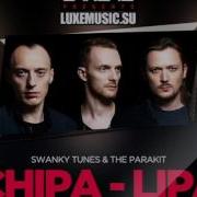 Swanky Tunes The Parakit Chipa Lipa Denis First Remix Music