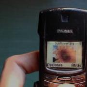 8910I Ringtones