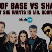 Ace Of Base Vs Shaggy All That She Wants Is Mr Boombastic