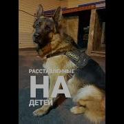 Аллла Мартынова