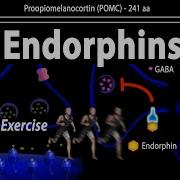 Endorphin