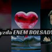 Palwan Halmyradow Aramyzda Enem Bolsady