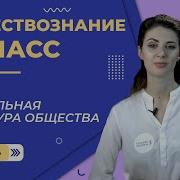 Тема Социальная Структура Общества