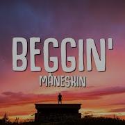 Maneskin Beggin