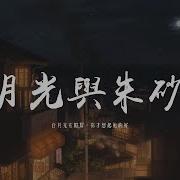 白月光无朱砂痣