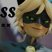 I M Bitch And A Boss Edit Miraculous