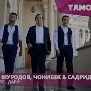 Точик Форс Дари