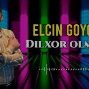 Dilxor Olmusam