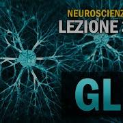 Atlante Di Neuroscienze Di Netter 3 Ed