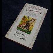 Хэрриот Кошачьи Истории