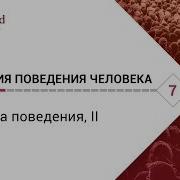 Биология Поведения Человека Лекция 7