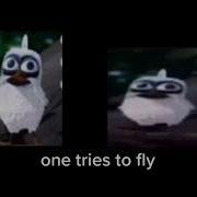 Two Birds Meme