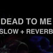 Dead To Me Slow Reverb Whales Fraxo Feat Lox Chatterbox
