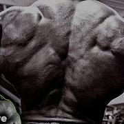 Dave Palumbo Back Workout