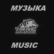 Tdfc Music Top Dog Music