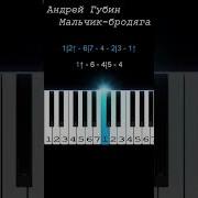 Песни Андрея Губина На Синтезаторе